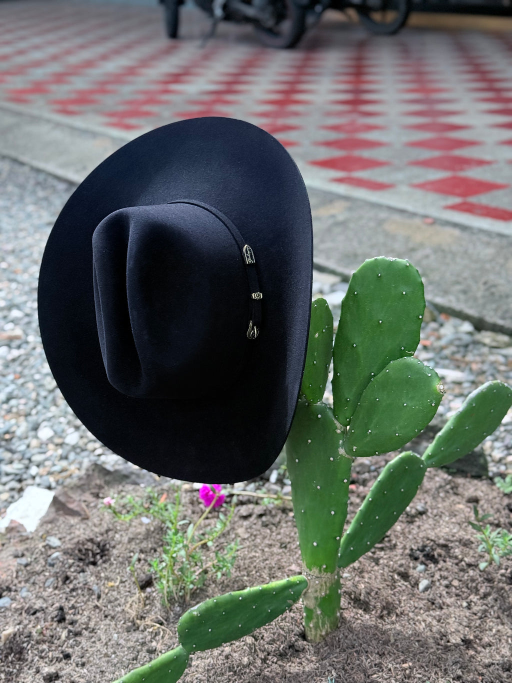 CELEBRITY 30x Clásico