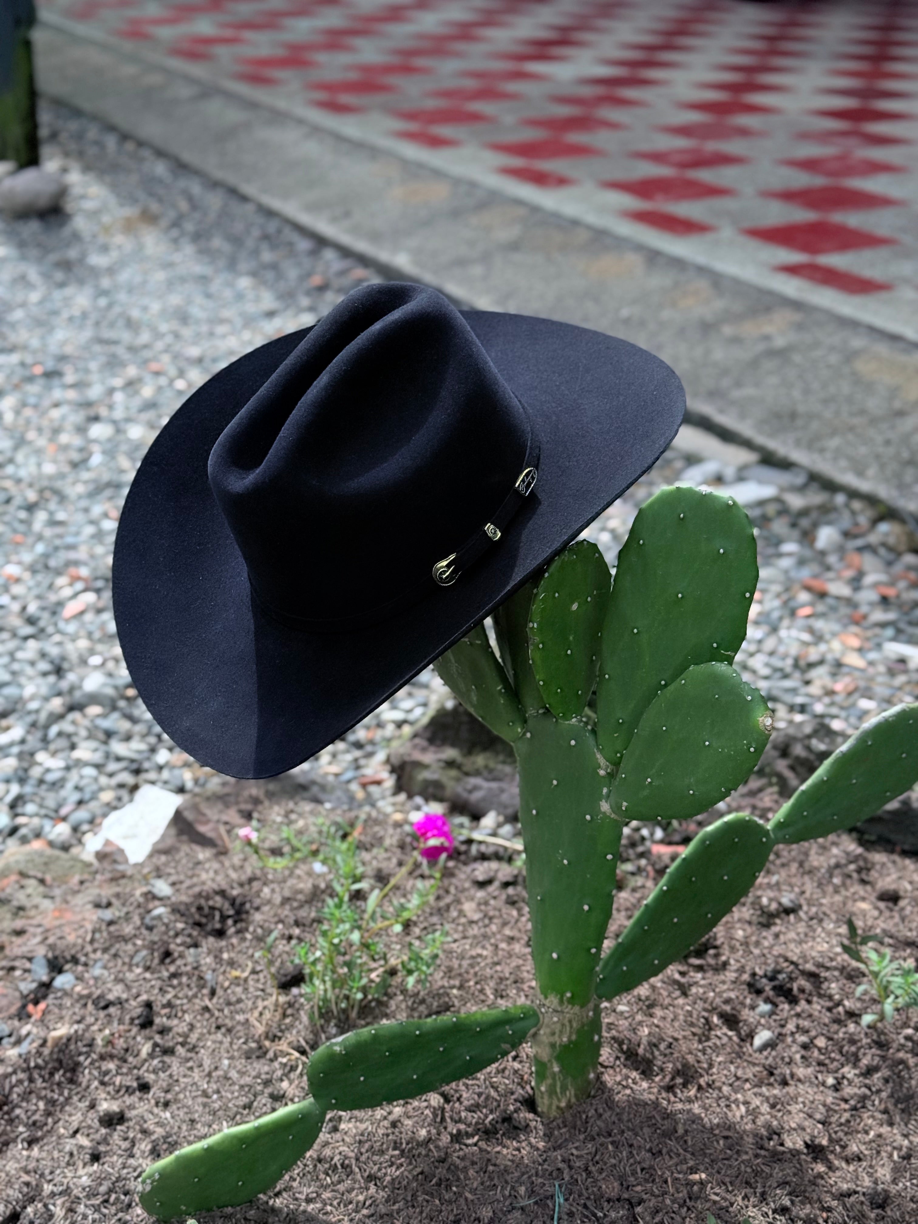 CELEBRITY 30x Clásico